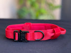 Combo: Collar Táctico + GPS + Simcard