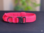 Combo: Collar Táctico + GPS + Simcard