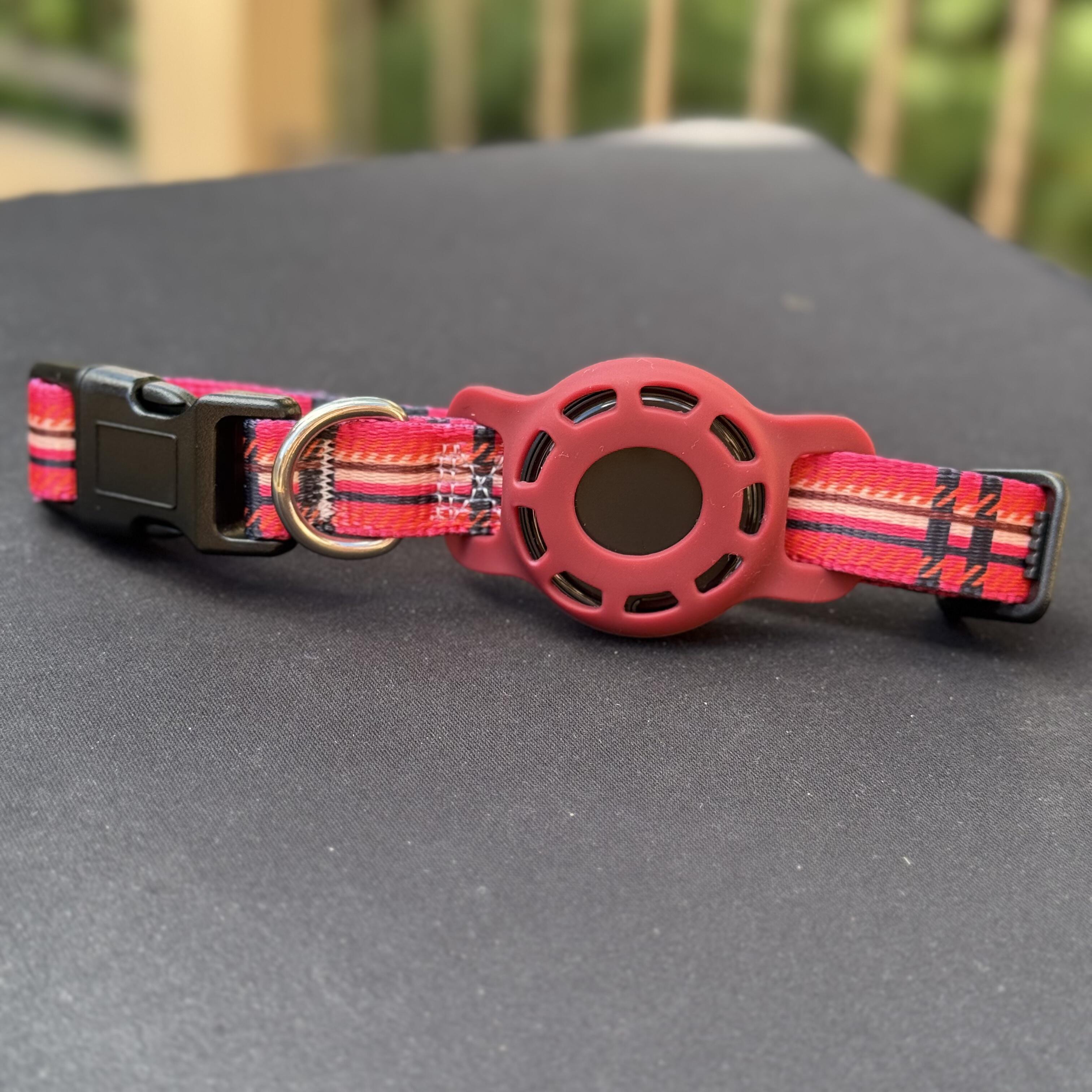 Collar con Localizador — Siempre sabés dónde está tu mascota