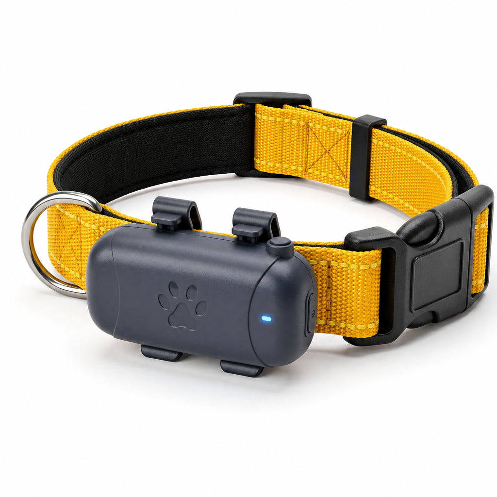 Combo: Collar Reflectivo + GPS + Simcard