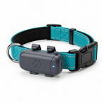 Combo: Collar Reflectivo + GPS + Simcard