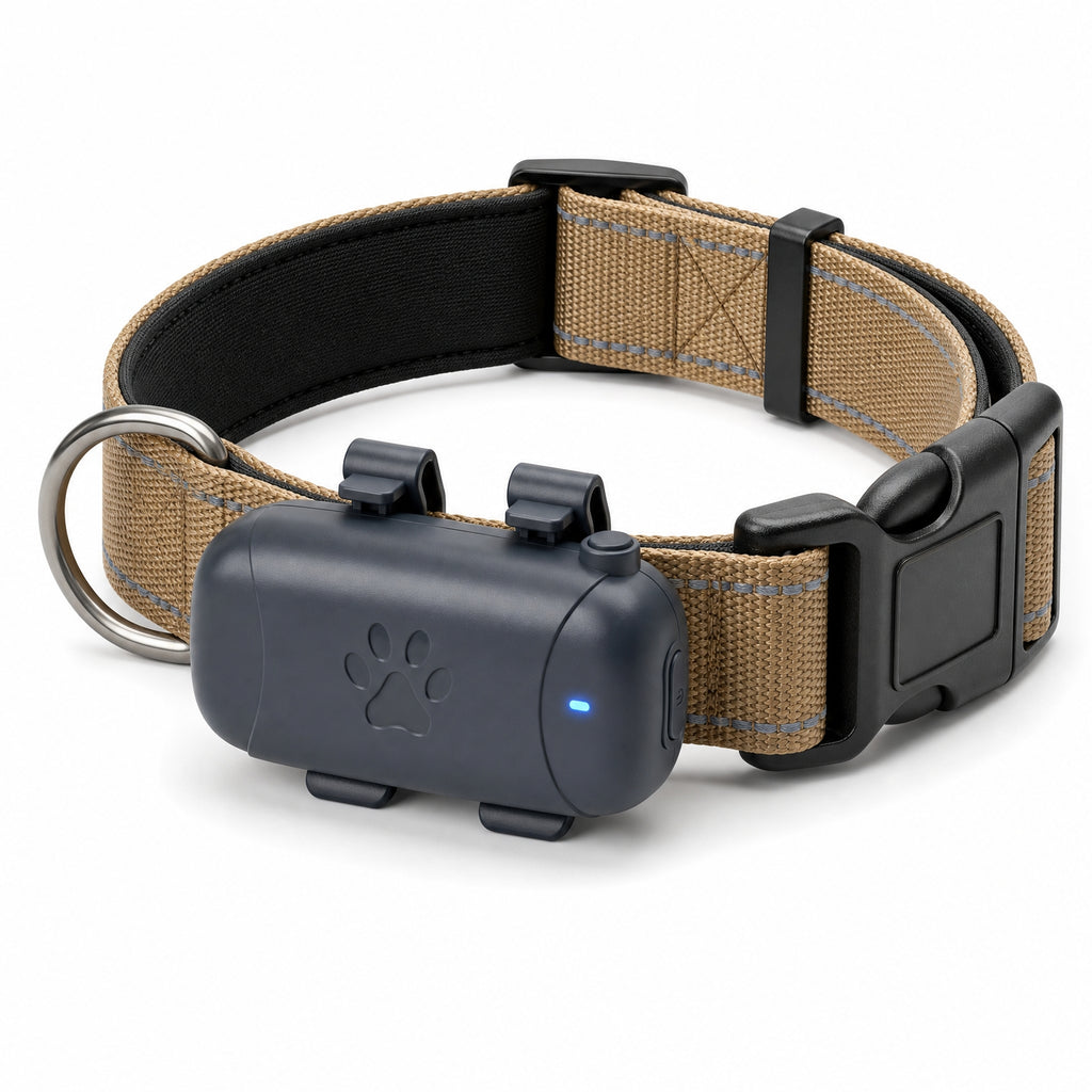 Combo: Collar Reflectivo + GPS + Simcard