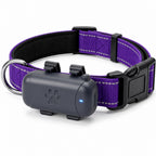 Combo: Collar Reflectivo + GPS + Simcard