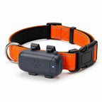 Combo: Collar Reflectivo + GPS + Simcard