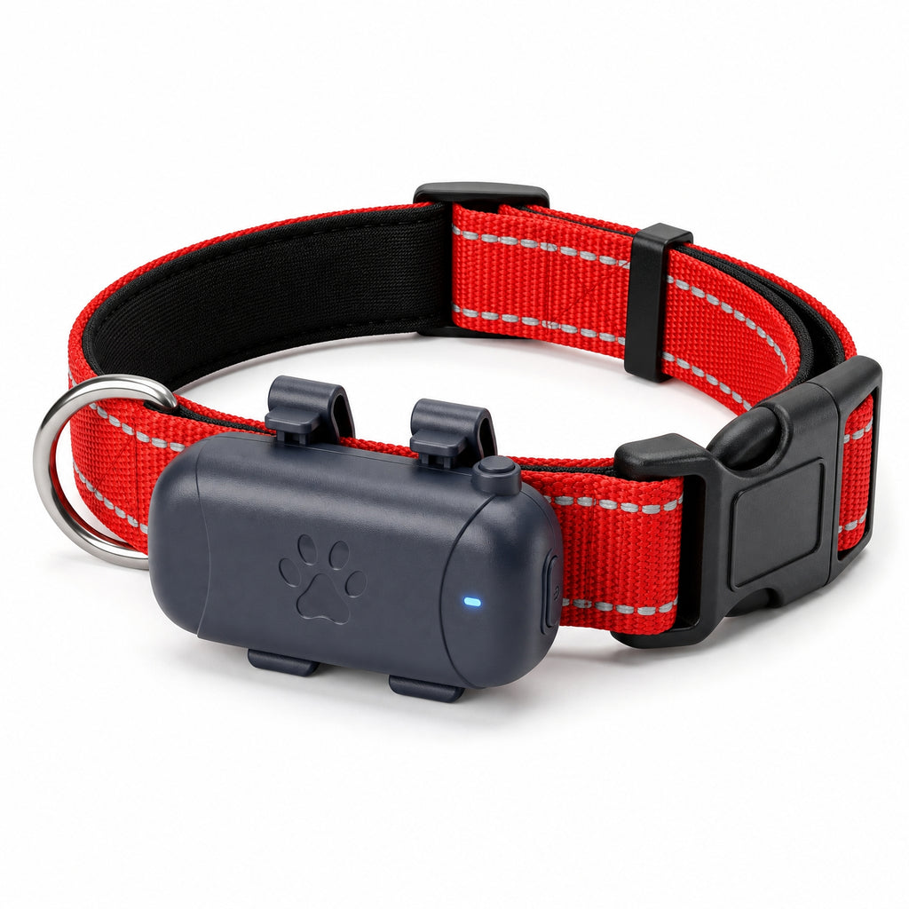 Combo: Collar Reflectivo + GPS + Simcard