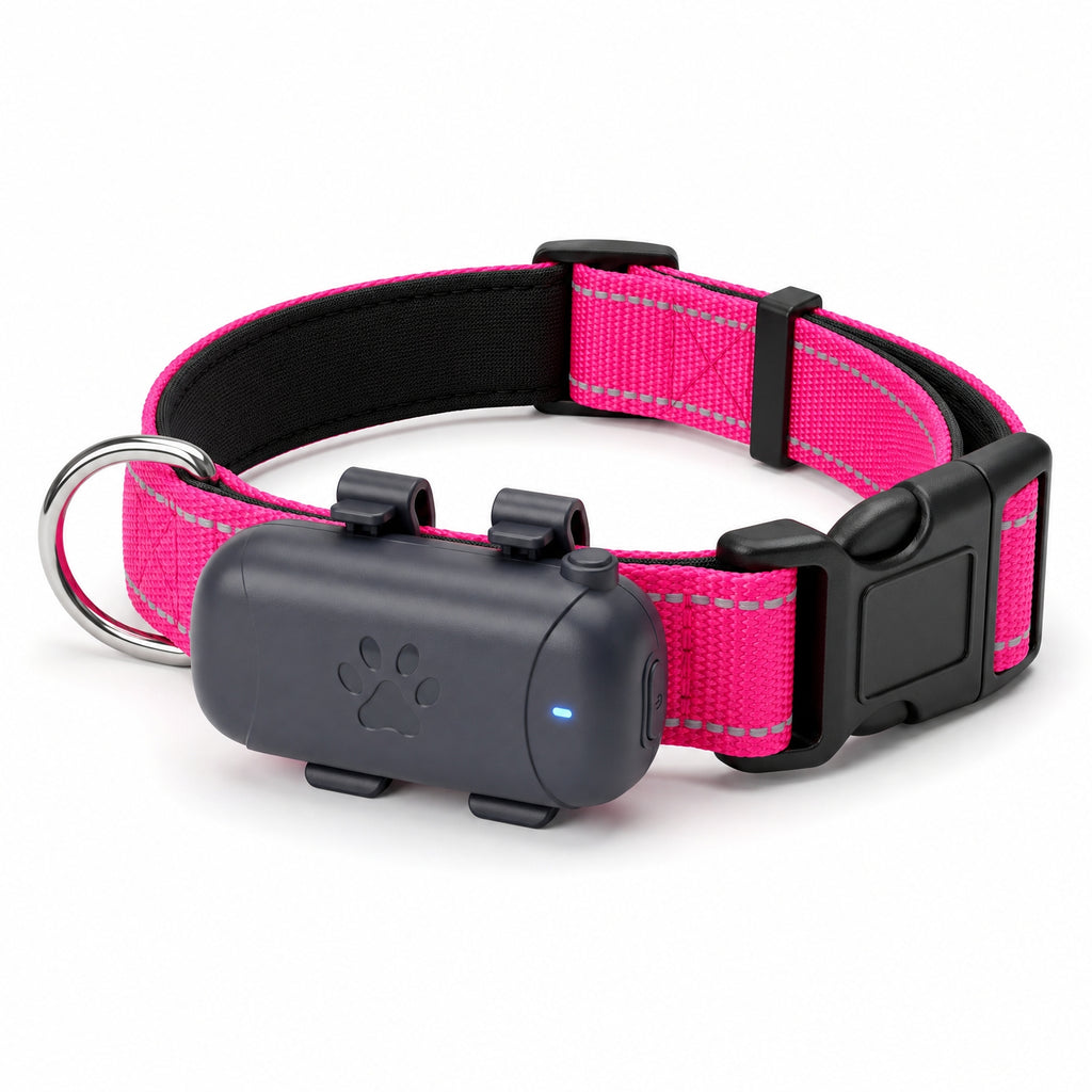 Combo: Collar Reflectivo + GPS + Simcard