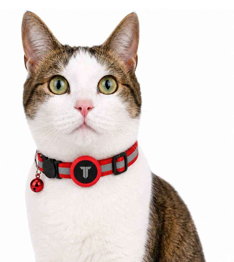 Collar Antiasfixia con Localizador